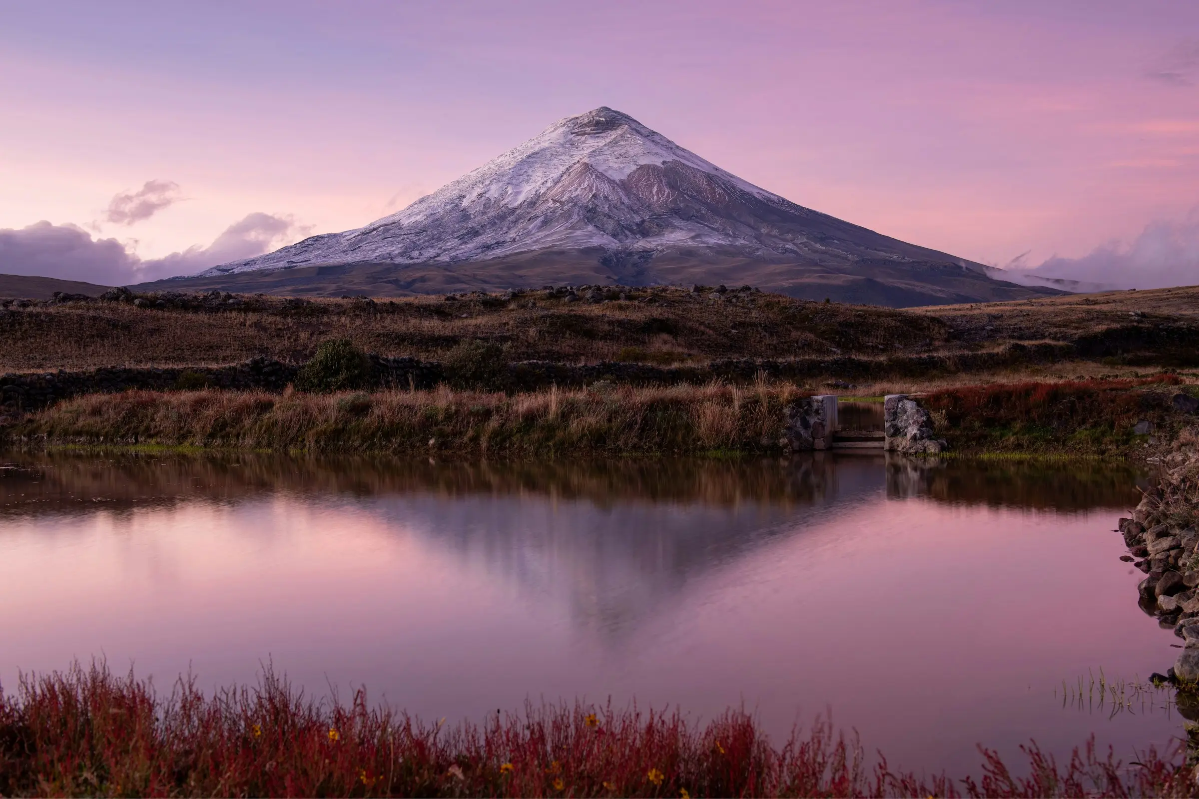 Cotopaxi volcano reflected in a still páramo lagoon at dusk, Cotopaxi National Park area